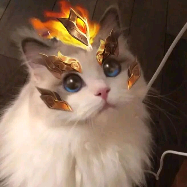 王者荣耀猫猫头像图[2]