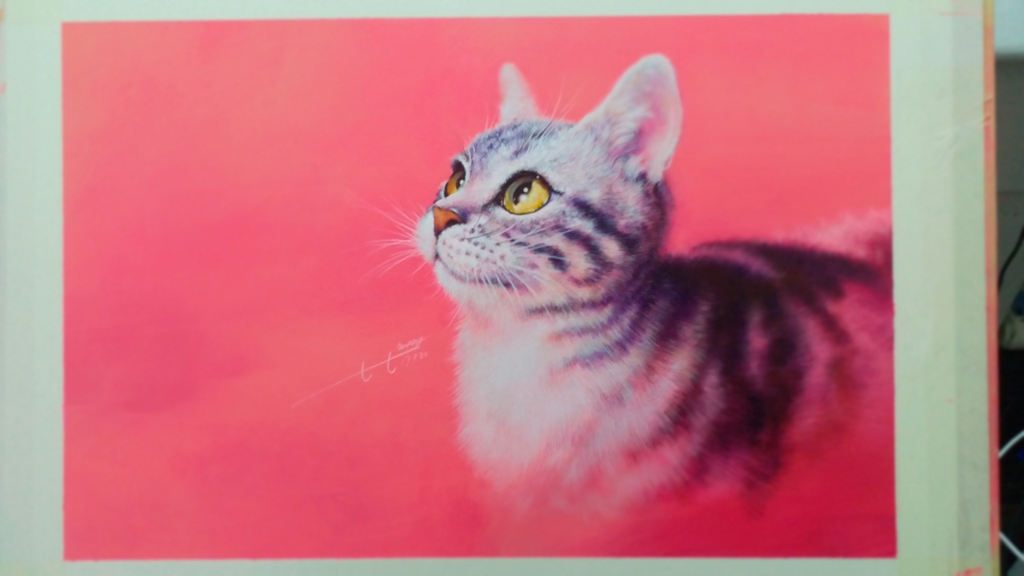 丙烯小猫