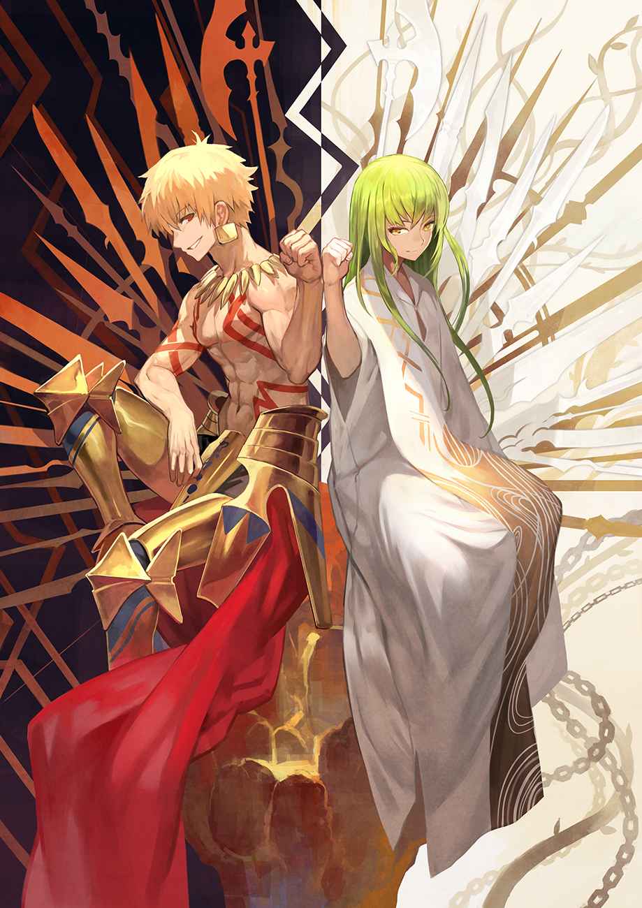 fate图赏9【金闪闪专栏】