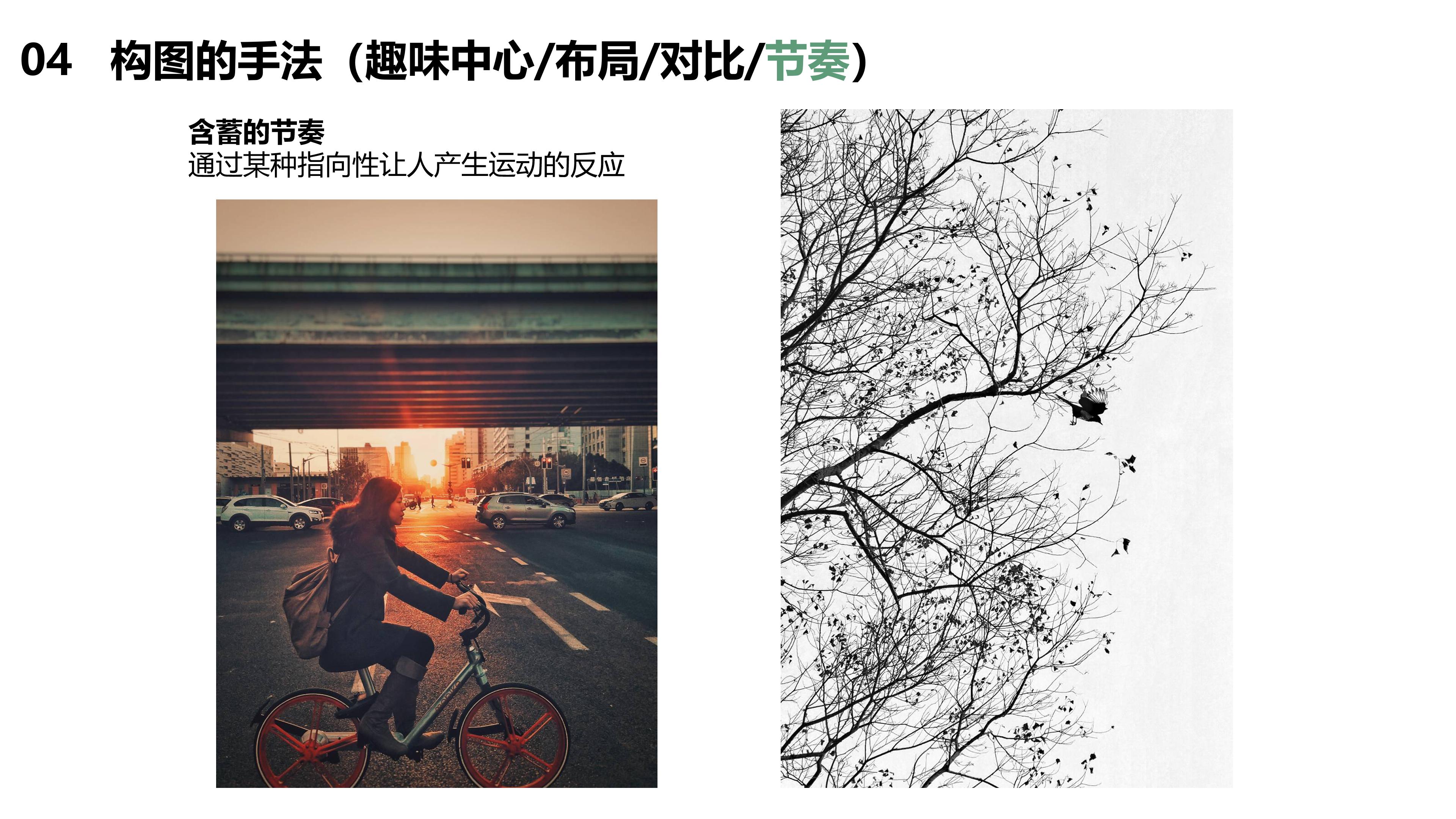 一口气说透摄影"构图",看这一篇就够了,99%的文章都是