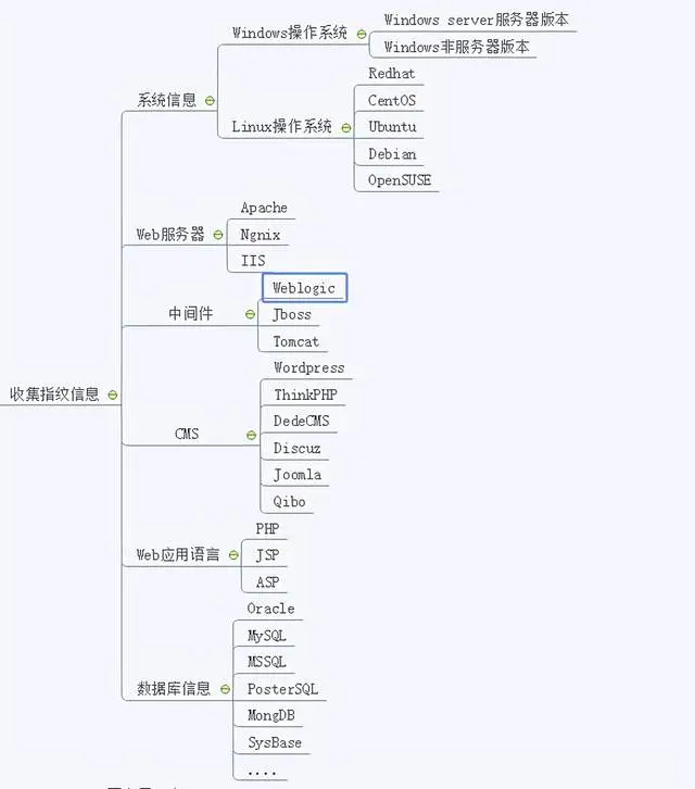 服务器端脚本语言在现代Web开发中扮演着怎样的角色？