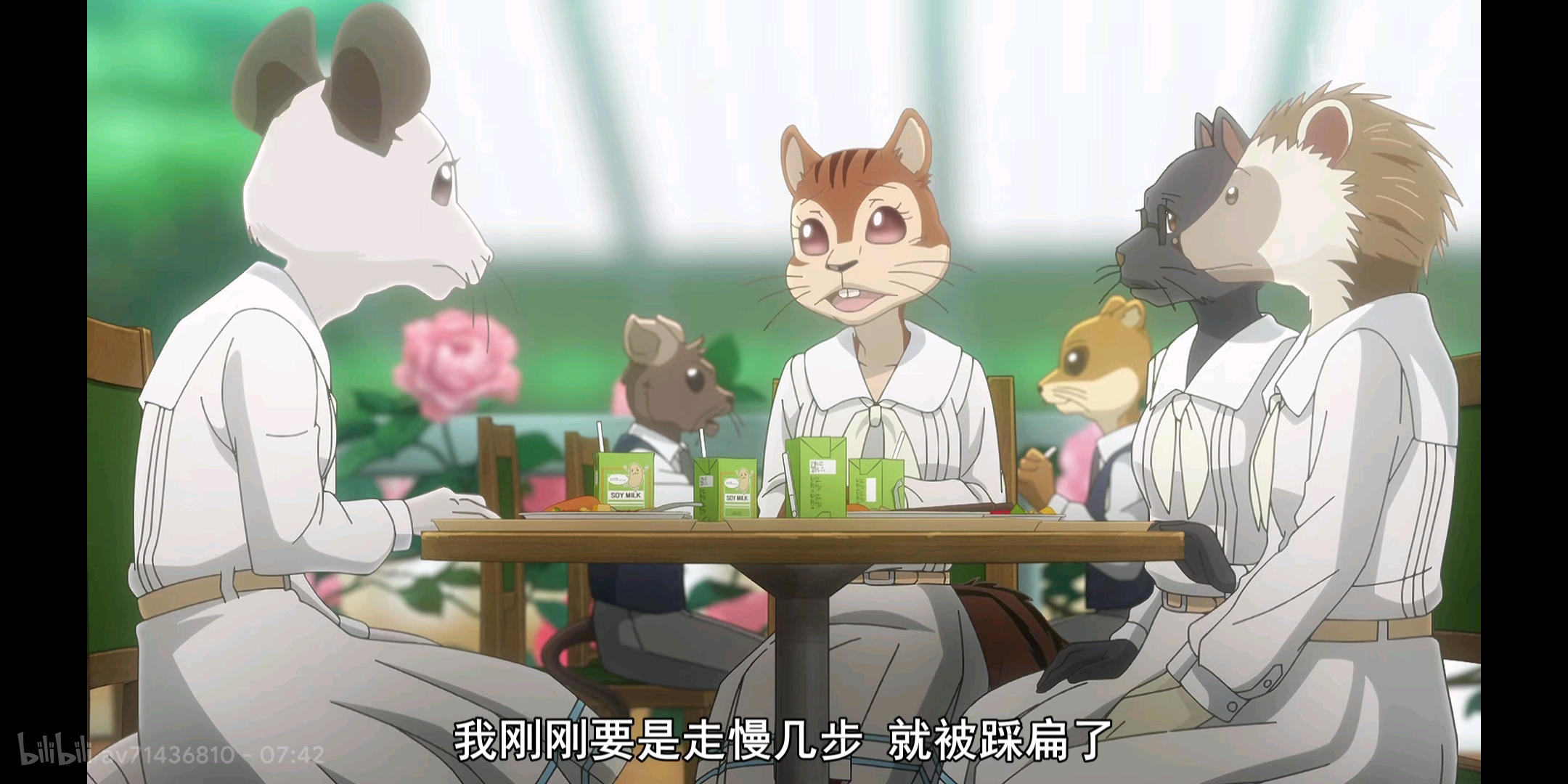 一只迷路的兔子—哈鲁