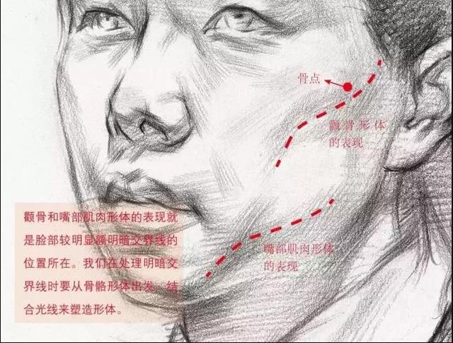 美术生联考冲刺8丨素描男女脸部肌肉刻画解析和范画欣赏