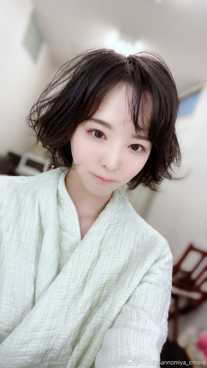 三宫椿