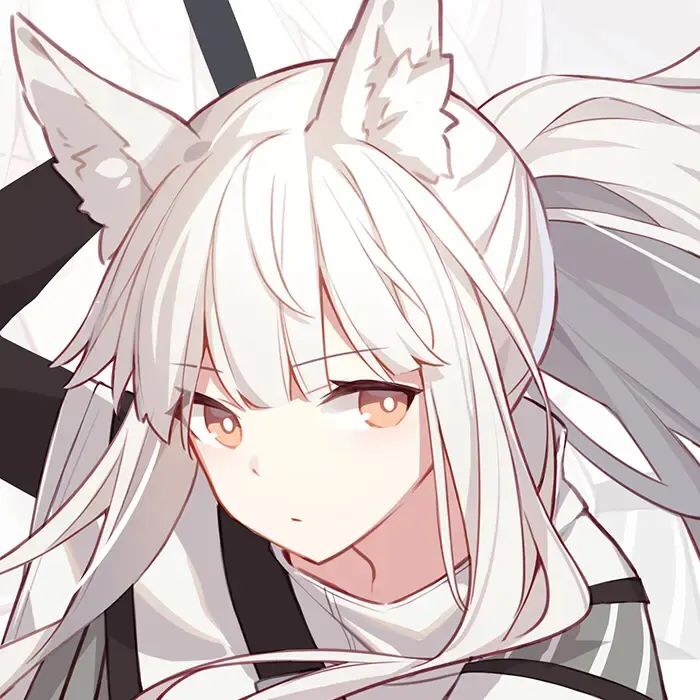明日方舟头像集 转载自画师@quan_ .