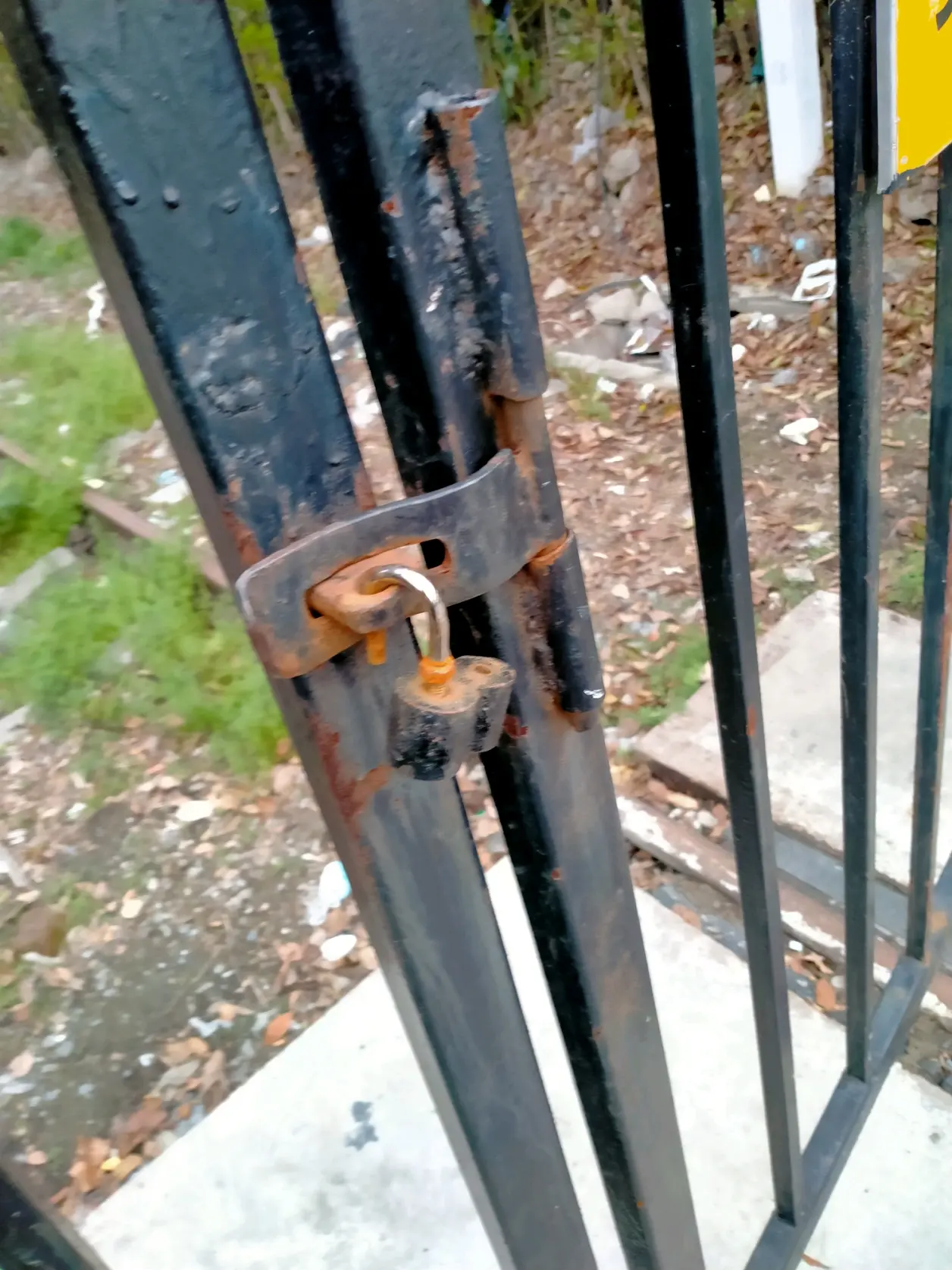 ps,七莘路道口西侧铁门没有上锁，不过up没有溜进去，听说这条铁路没有被