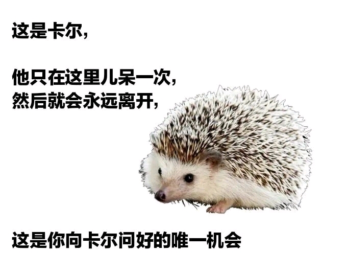 谢谢你,卡尔 表情包