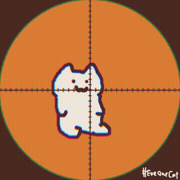 everyone cat[日本沙雕猫动图]