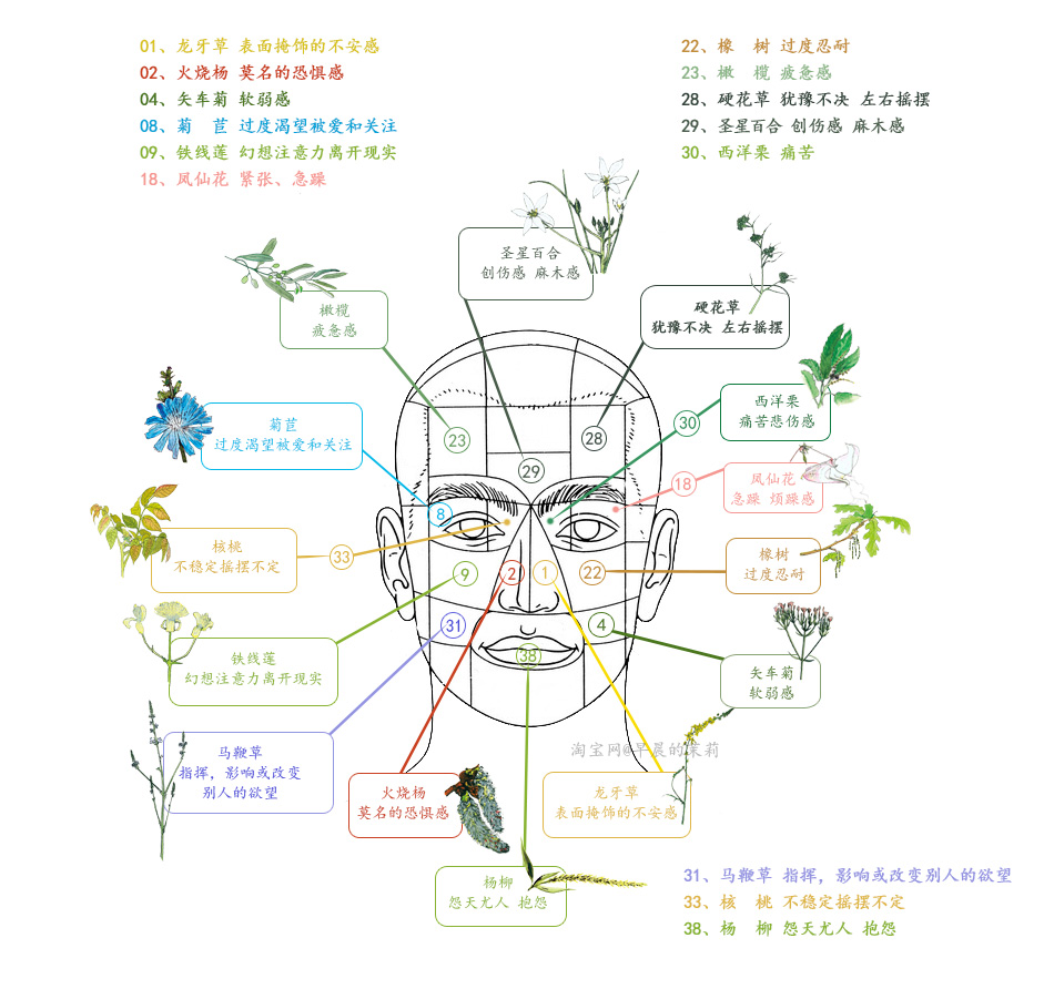 花精附录:情绪自测详表 & 身体地图