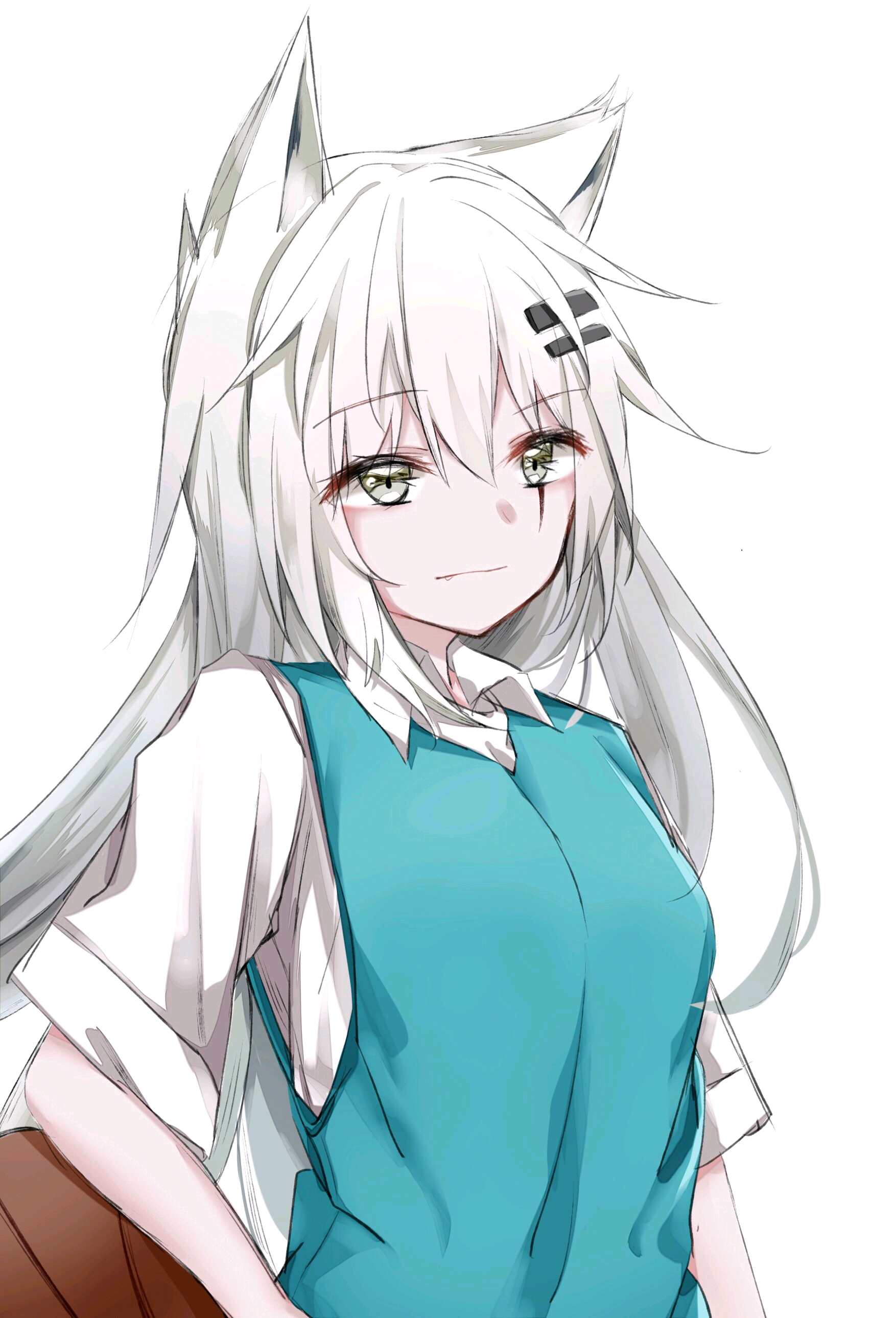 动画 动漫杂谈 二次元美图壁纸第231期(猫耳娘福利
