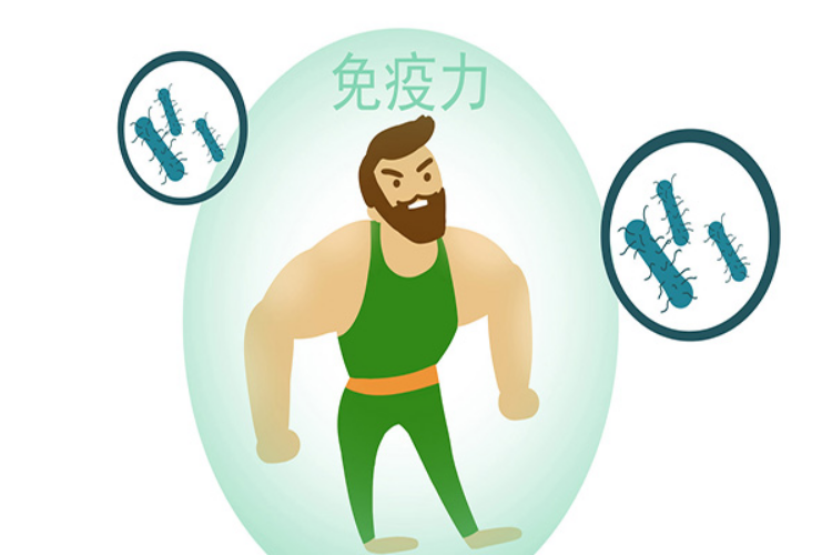 免疫力下降怎么办lps来帮你增强免疫力