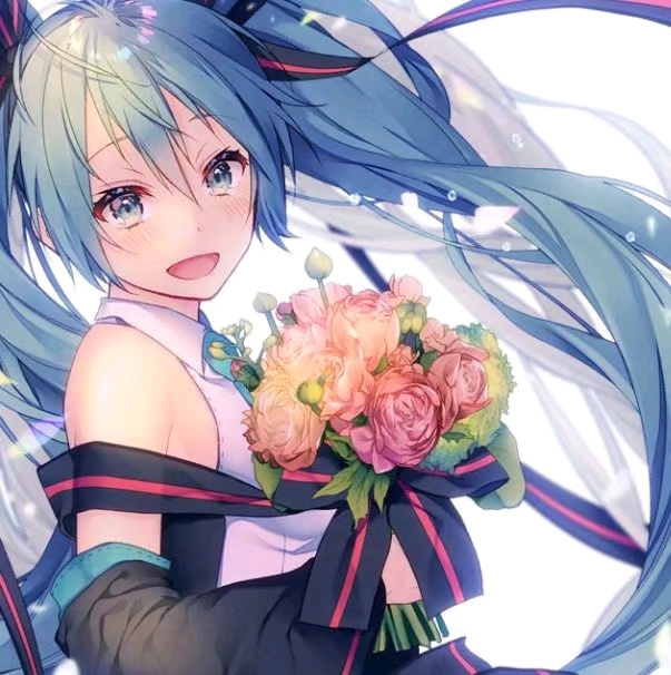 初音未来动漫图片(20张)