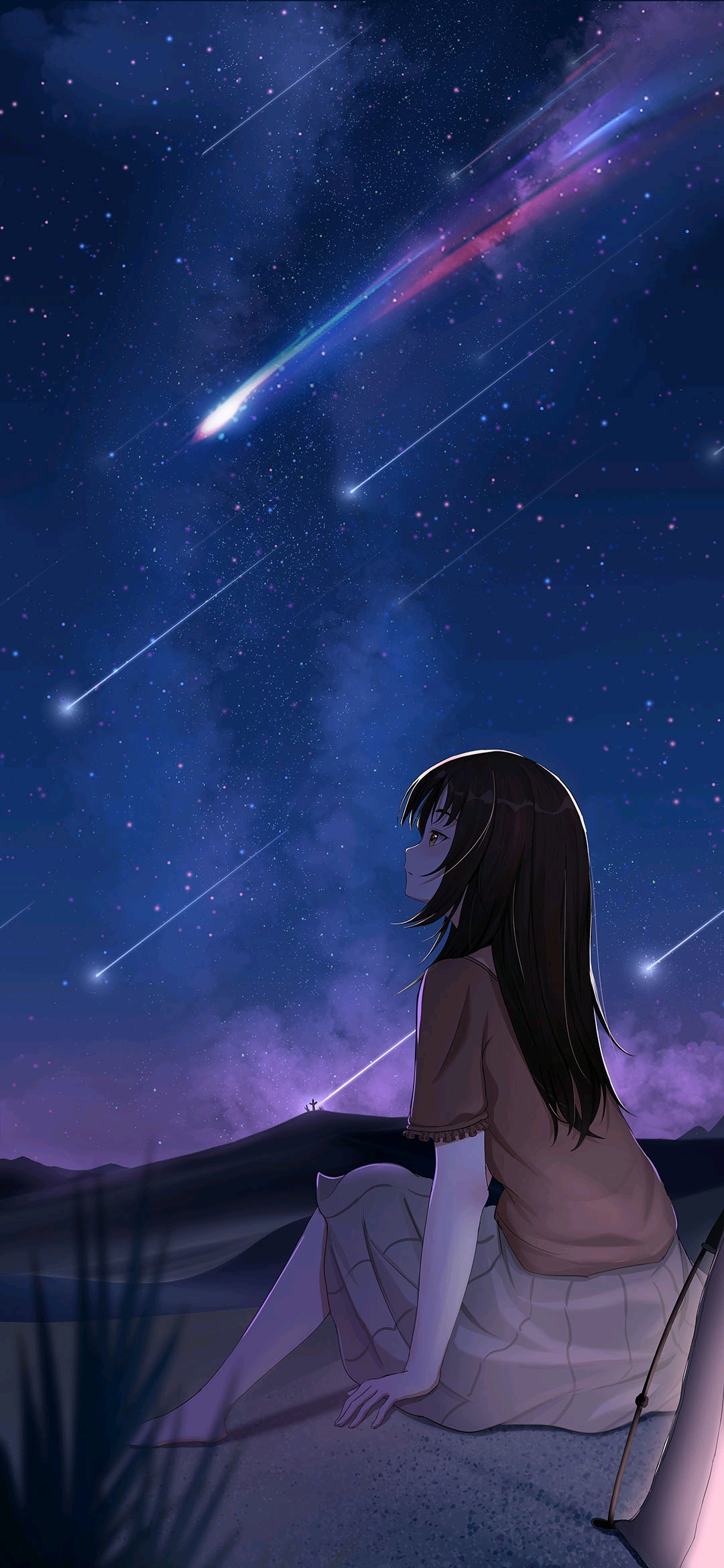 【少女向】唯美画风的二次元动漫风景壁纸 【全面屏