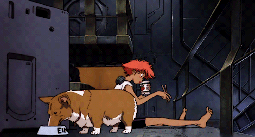 500_269gif 动态图 动图