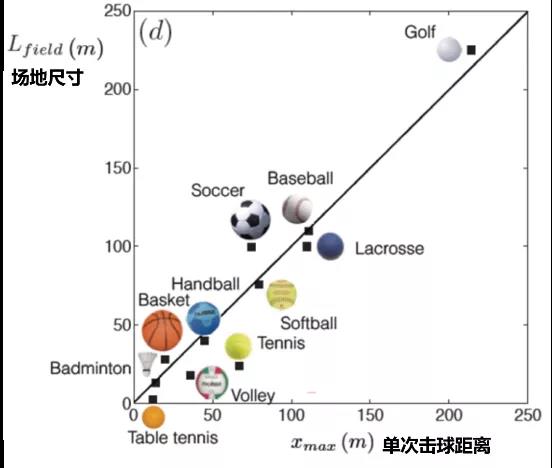 球类单次运动的距离和场地的关系(图源:physics of ball sports,作者