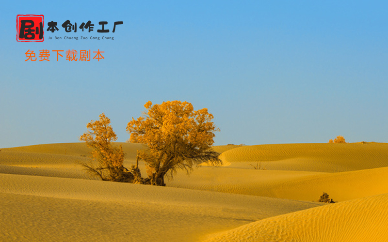 摄影短剧本,摄影短片剧本