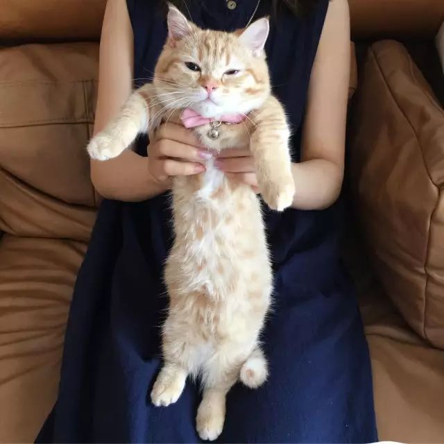 就连让人心疼的委屈脸 也非常具有诱惑力… 再看看她的全身照… 好了