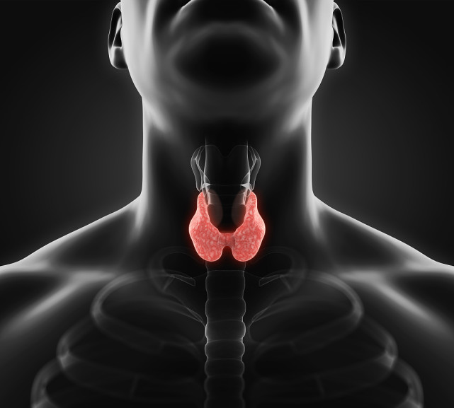 甲状腺结节和甲状腺囊肿的区别