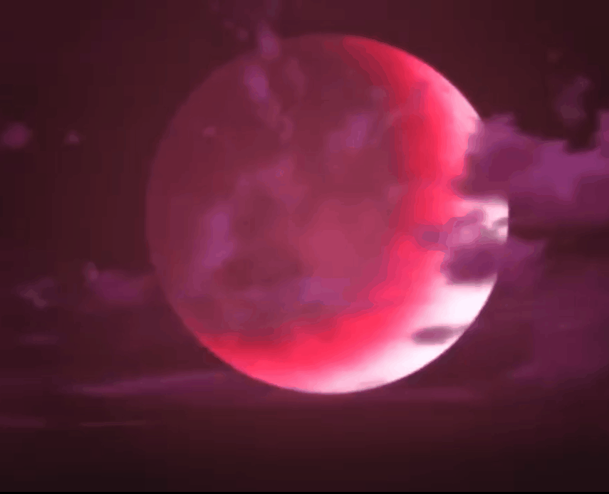 《dio图一堆》第五期 幕府武士瑞克表情包