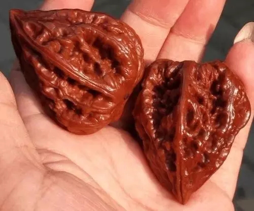 楸子核桃