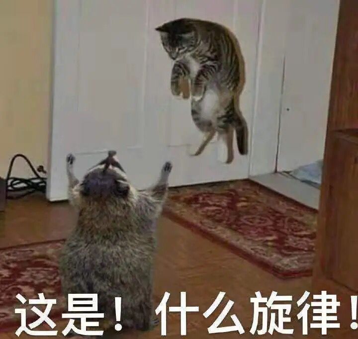 可爱又沙雕的动物们表情包