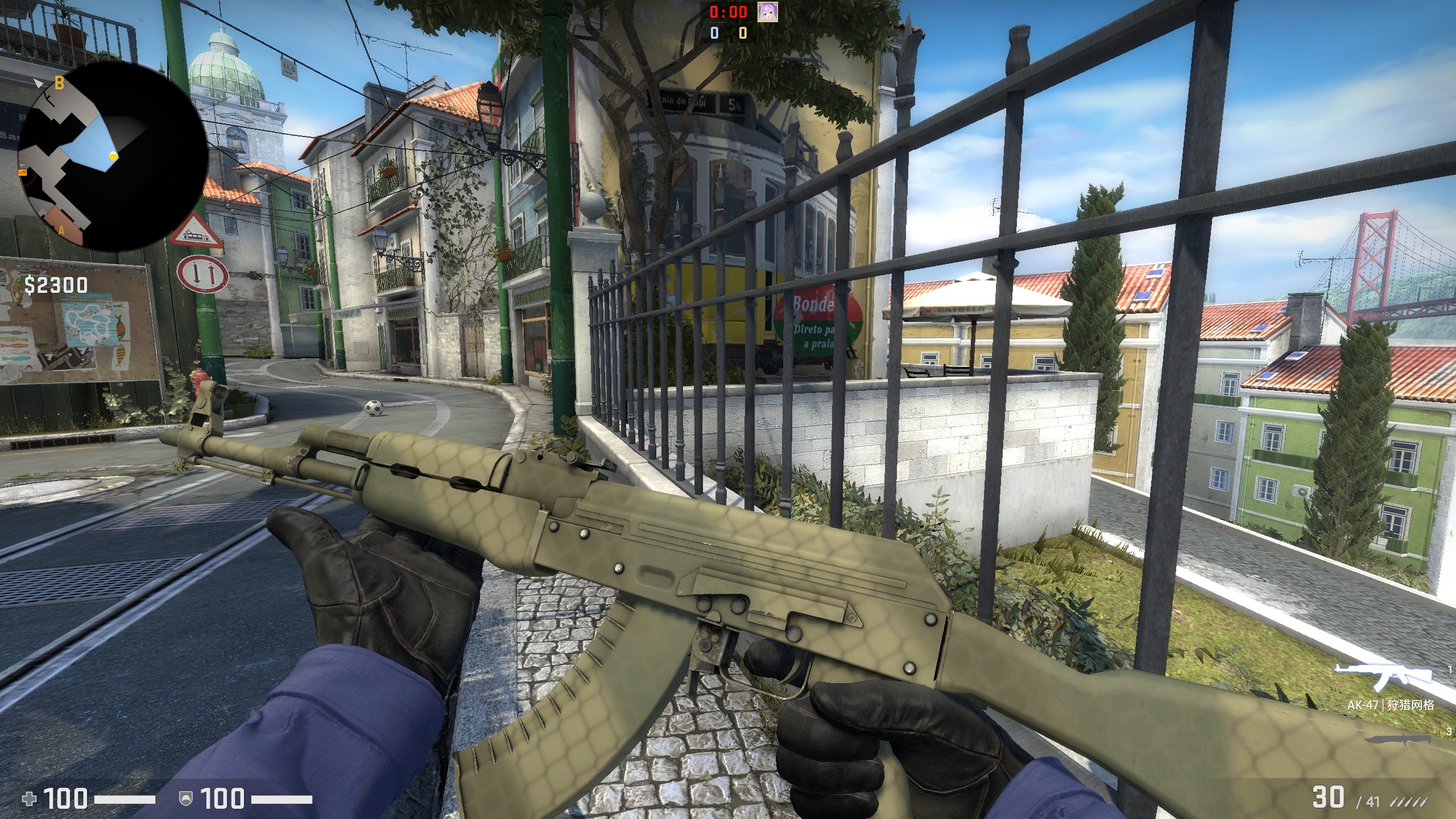 【csgo】ak47全皮肤评测检视 价格排名(上)
