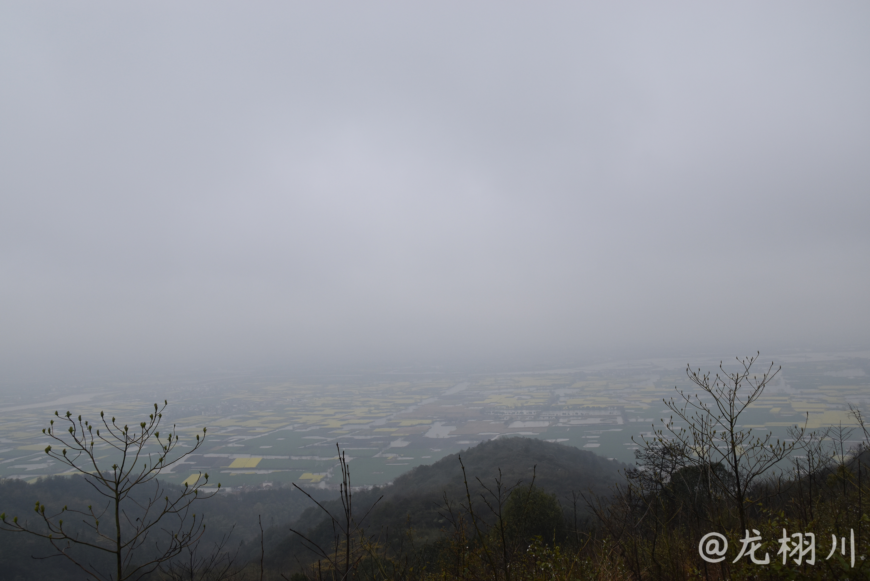 龙栩川的物种图志1三月浮山