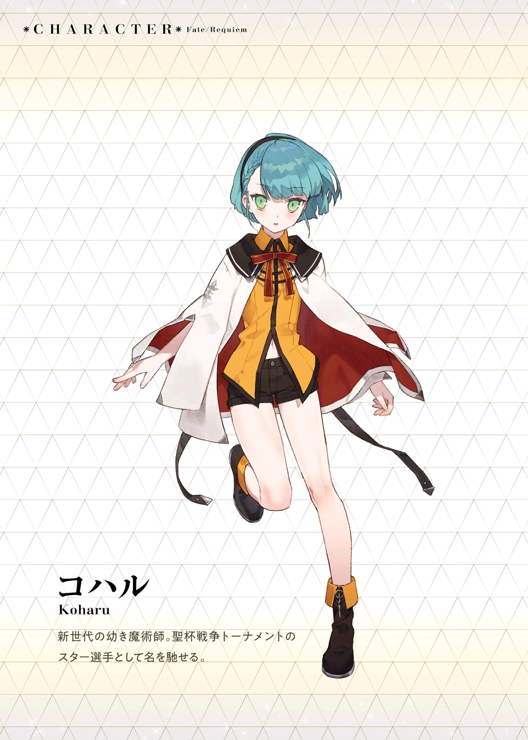 【fate/requiem 小说设定整合】登场人物篇