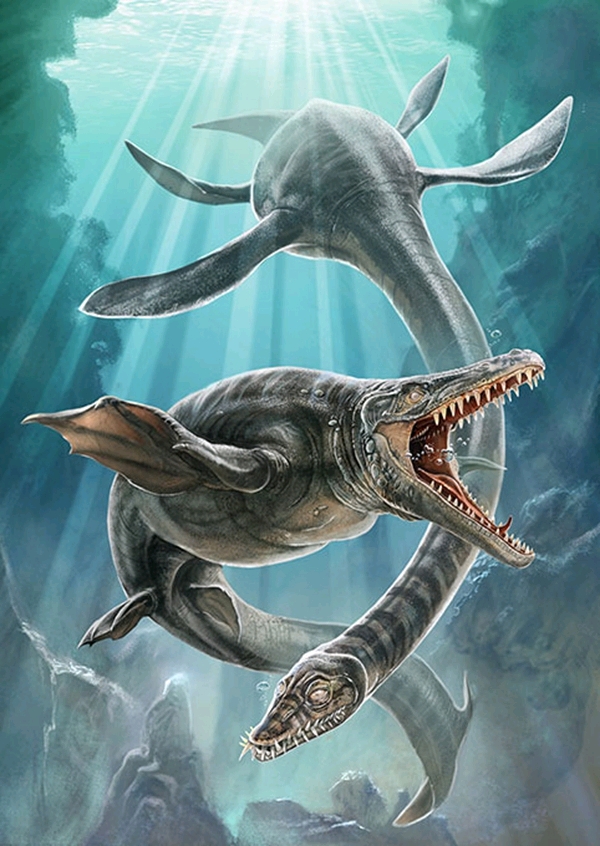 方舟生存进化自创生物65海王龙