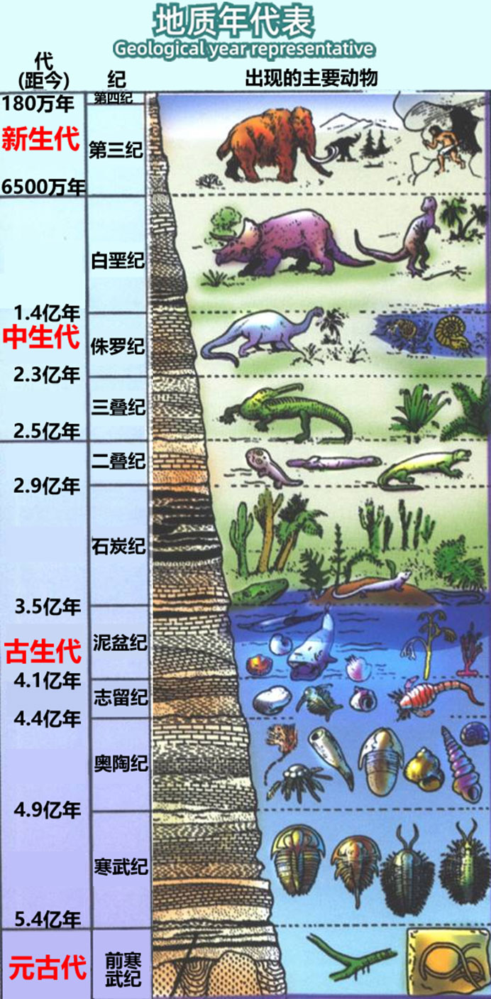 地质年代表(即进化的时间表),其中的年份并不正确,详见扩展阅读