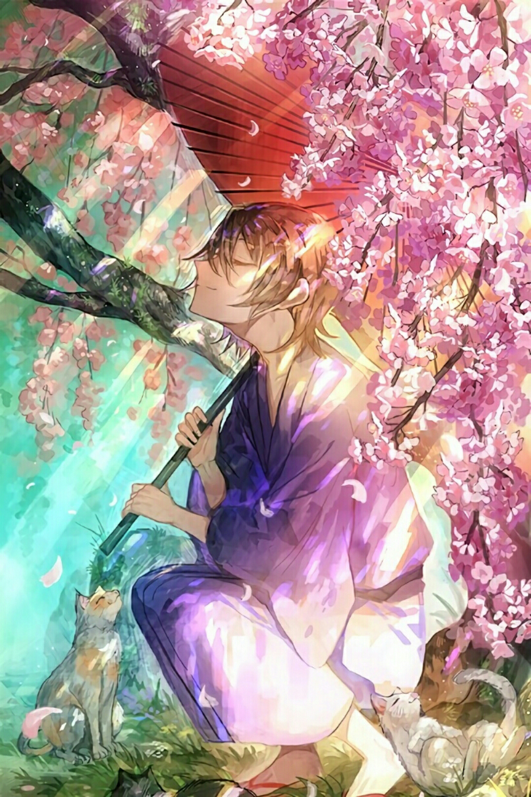 【动漫美图】樱花&神社专题