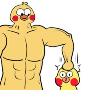 这是一个放送【表情包】的专栏50「脆皮鹦鹉4」