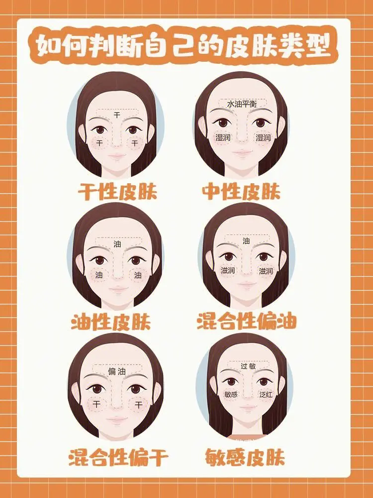 五大皮肤的分类