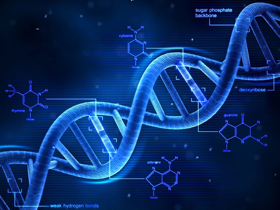 f1c4d49c14be4a37b87b8b4754217c5149102f9a.png