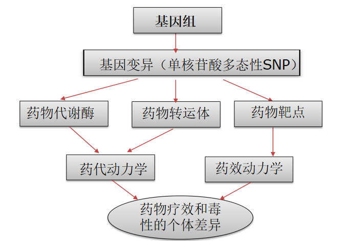 f20c5f4700ec0ac8f1d676b052237b8526663dfc.png