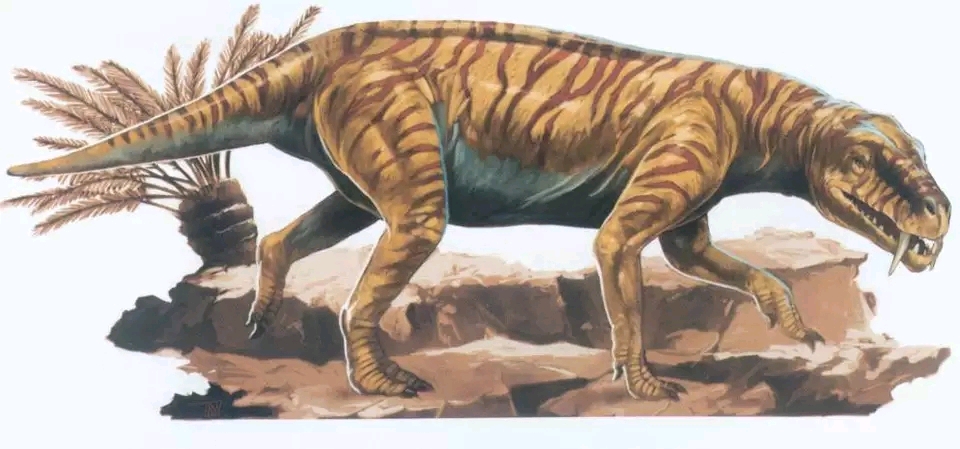 2米对6米不算太小 致命虎齿兽(bidensaurus mactabilis),骷髅岛犬颌兽