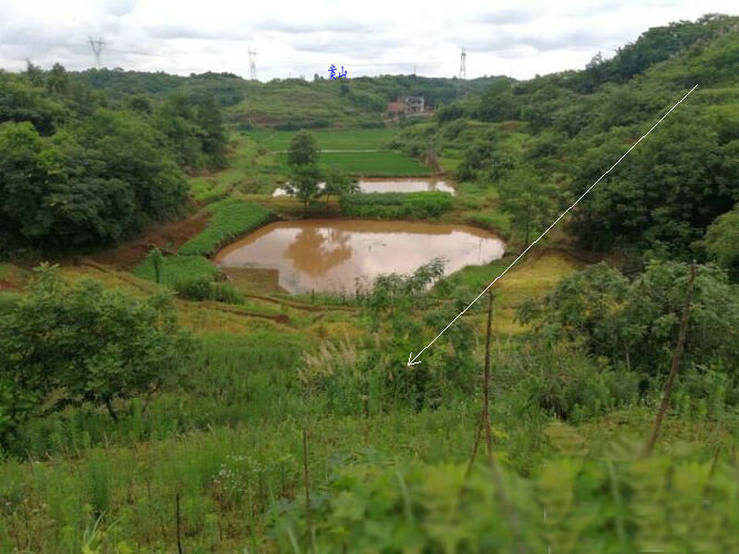 钳穴风水案例,重庆大富翁祖坟风水