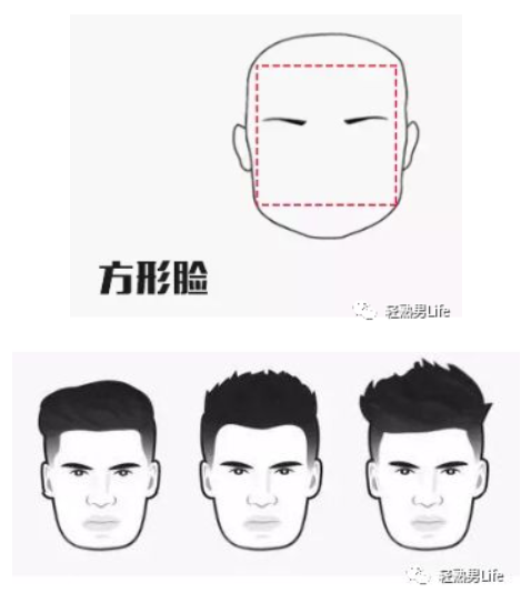 方形脸 / 田字脸 前额饱满,颧骨与下颌骨等宽或下颌骨略窄一些,脸宽