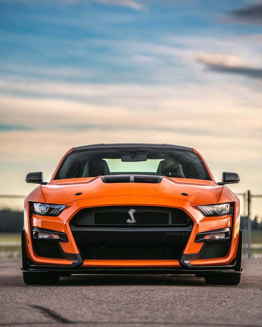 2020 谢尔比 野马 gt500