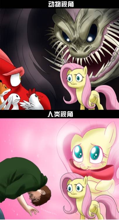 国外画师的短篇搞笑,小马宝莉同人漫画,第十七期
