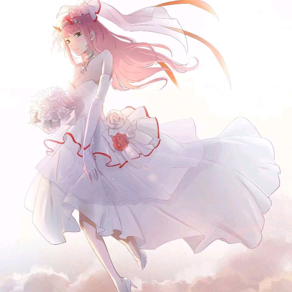 今日不发涩图#亲爱的弗兰克斯