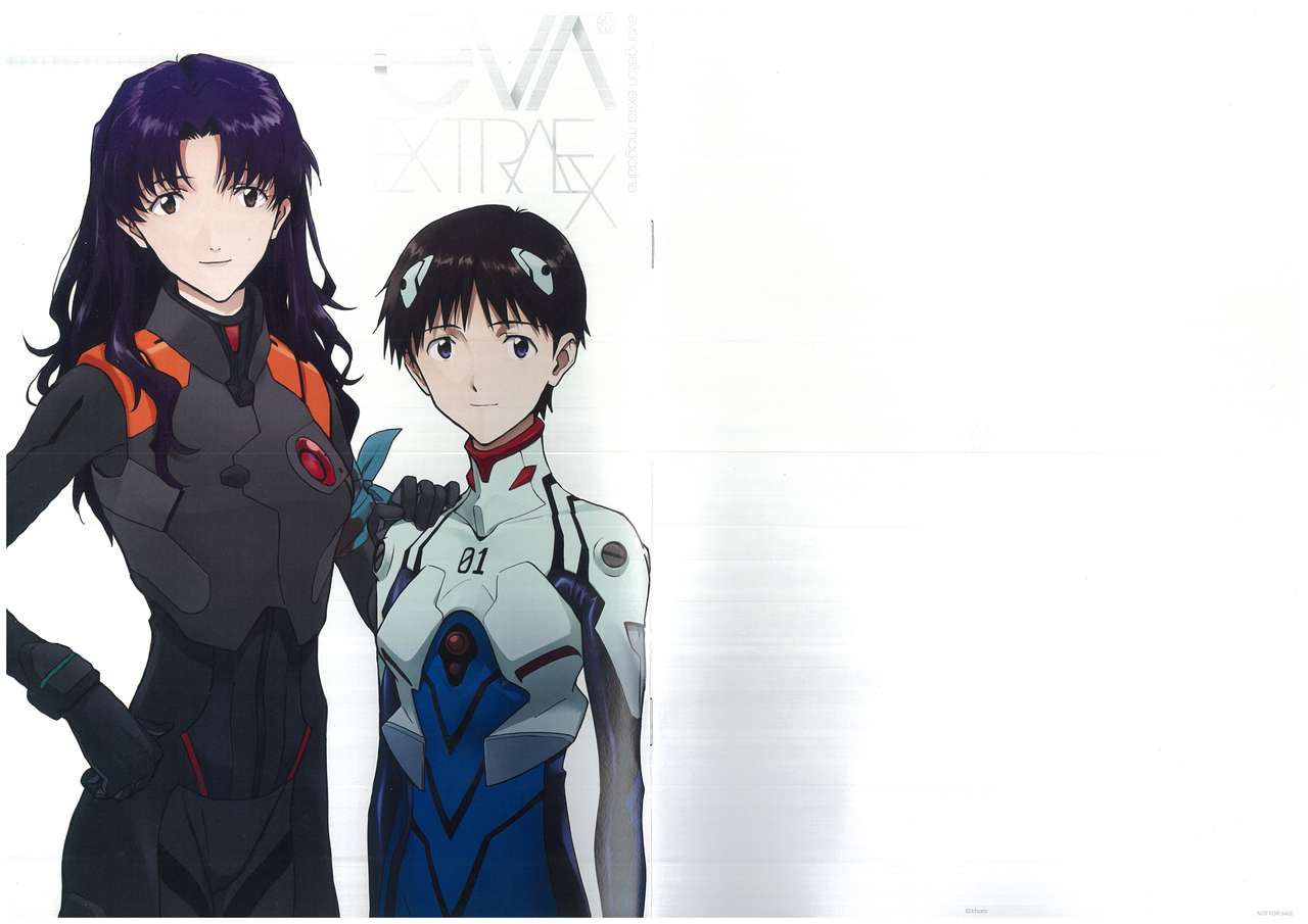 漫画新世纪福音战士evaextraexevangelion30