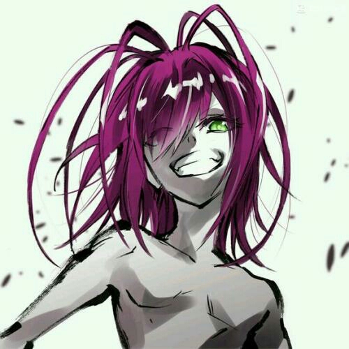 双星之阴阳师 十二天将简介