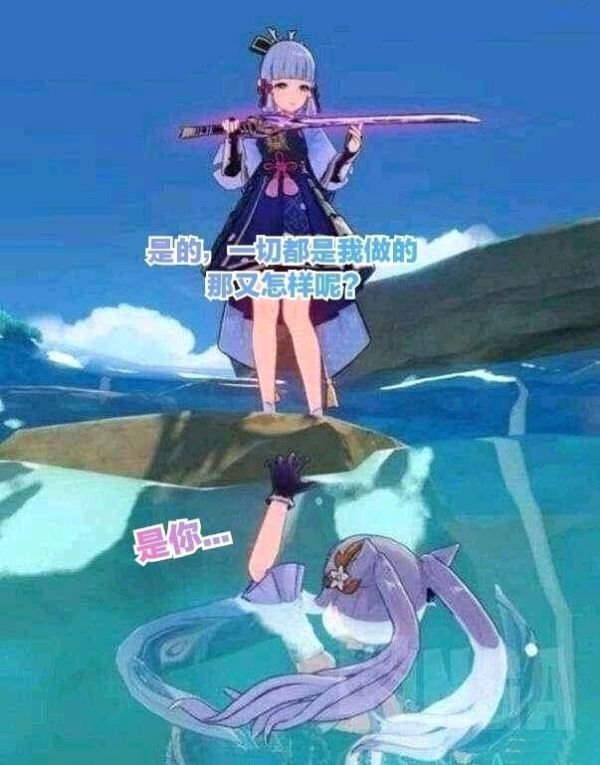 神里的影子像小乌龟 但事实证明她们都无法超越原创 甚至绫华飞行的