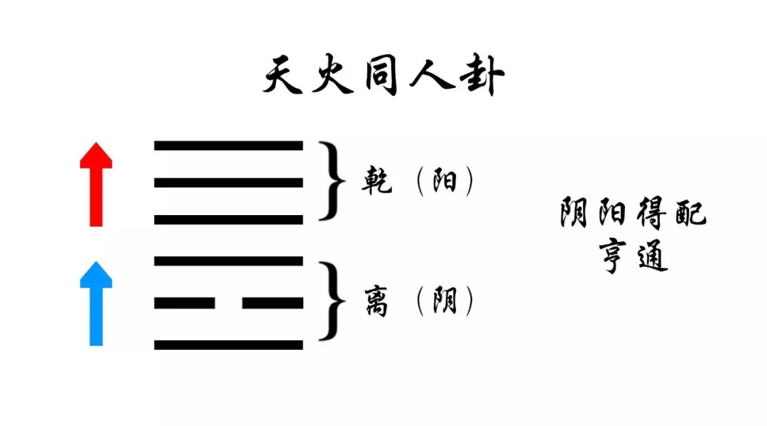 以乾为天卦为例 以天火同人卦为例:即乾为阳往上走,离为阴(但它为火