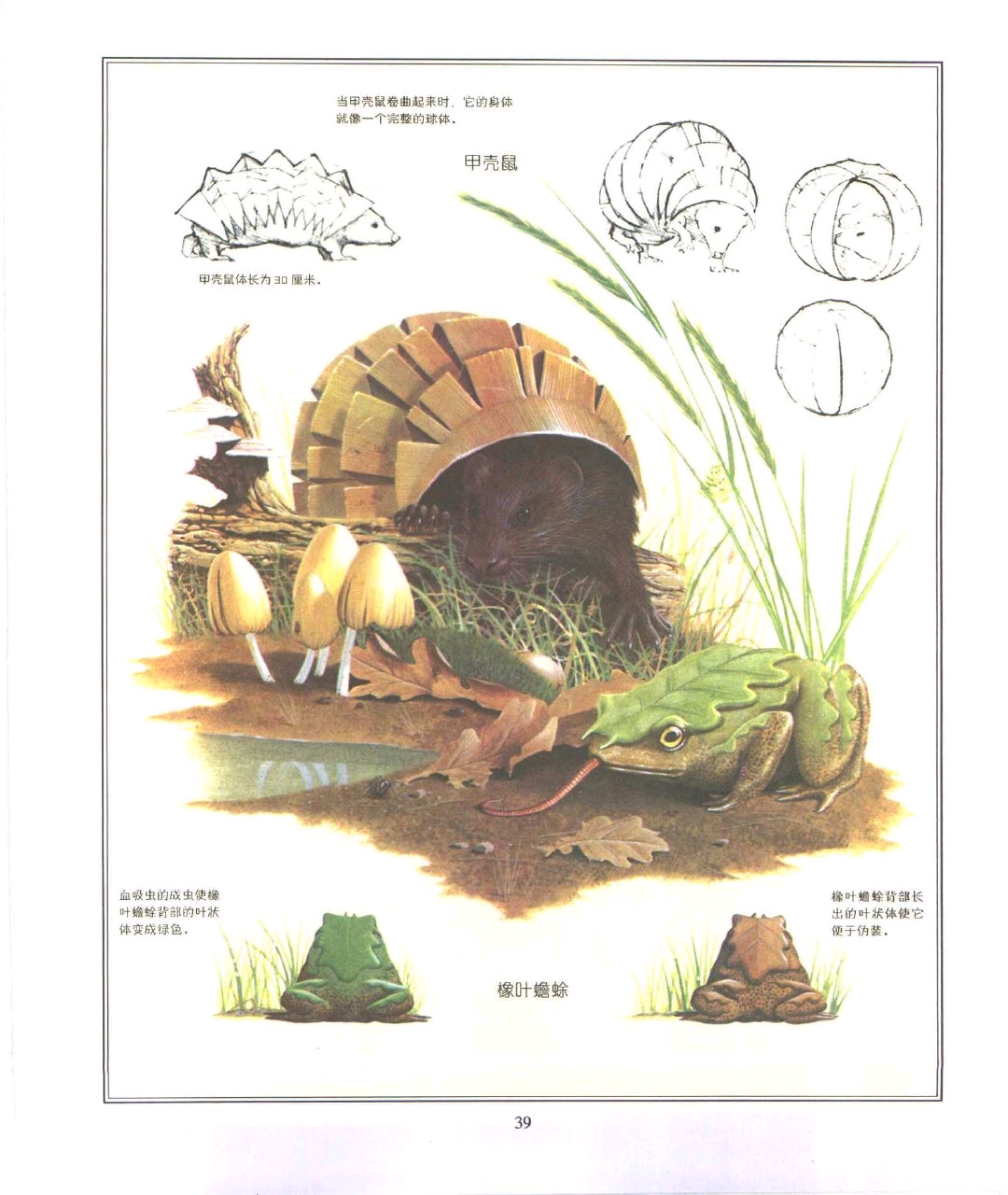 未来世界的动物一些非常扯淡!究竟是那些?