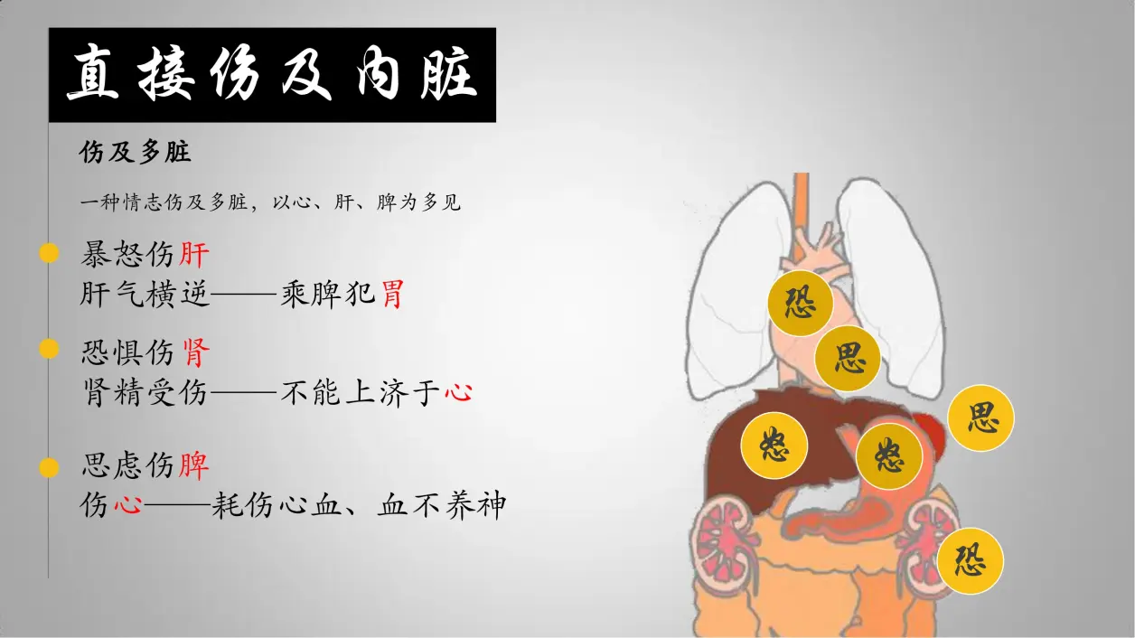 从零开始学中医：4.4内伤（七情、饮食、劳逸）