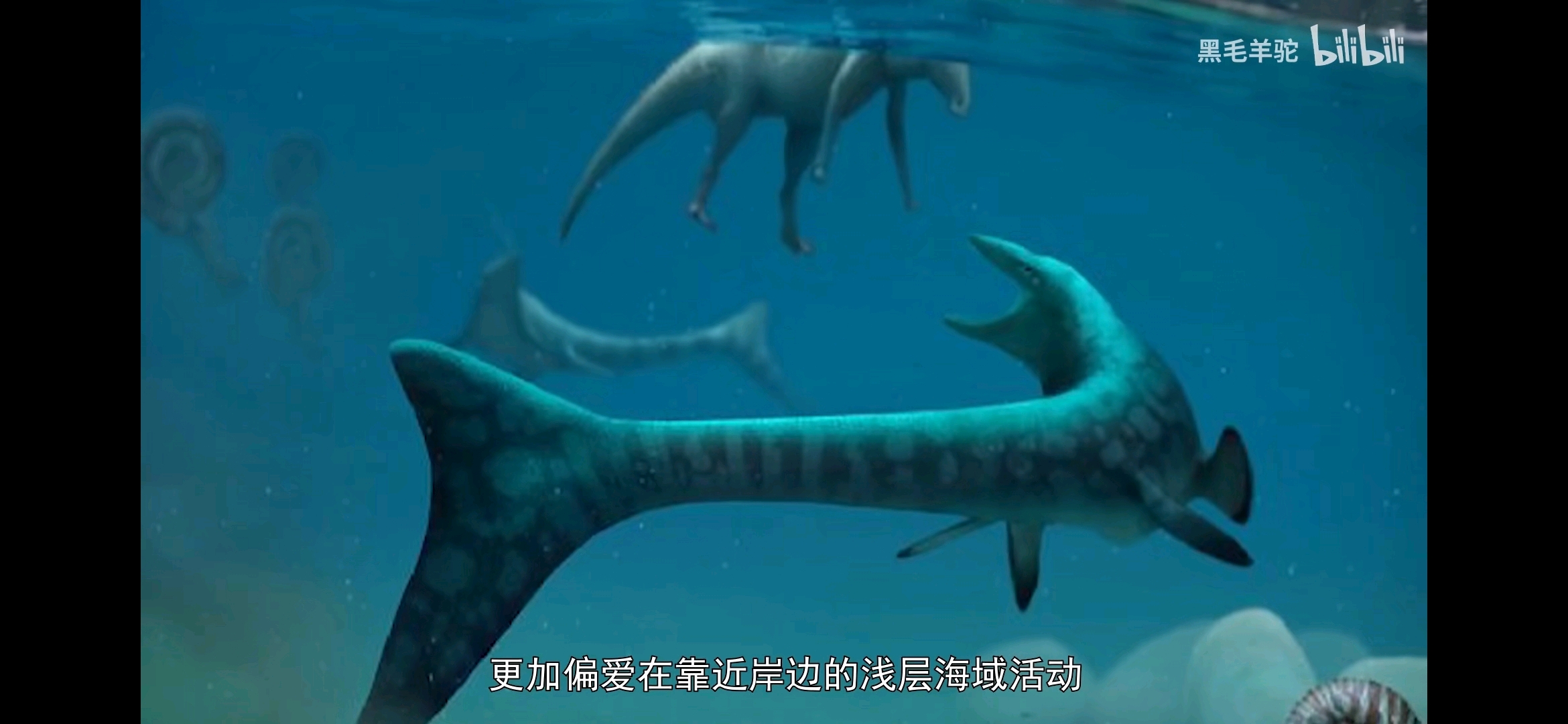 沧龙,沧斯拉(沧老师)图片大全