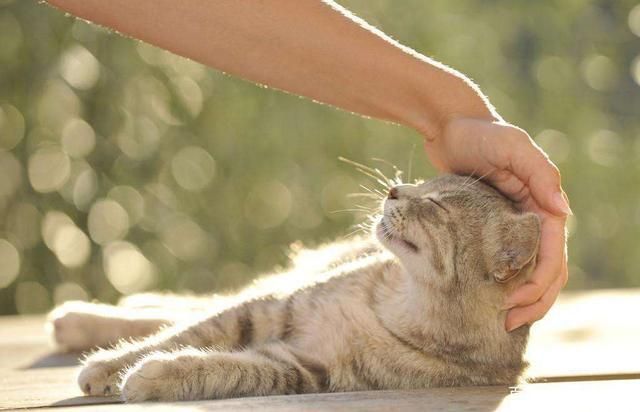 f4afb9dd27204e13203161334a07b3a2cecb2f05.jpg