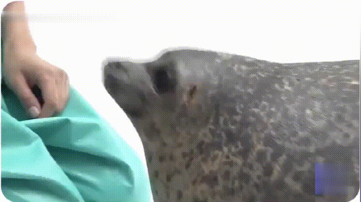 按热度排序按时间排序请先后发表评论 (99ω99)表情contentpig